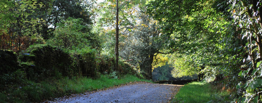 Cartmel Fell Parish Council Image